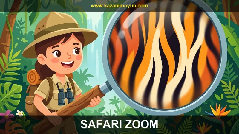 Safari Zoom: Doğanın İzleri